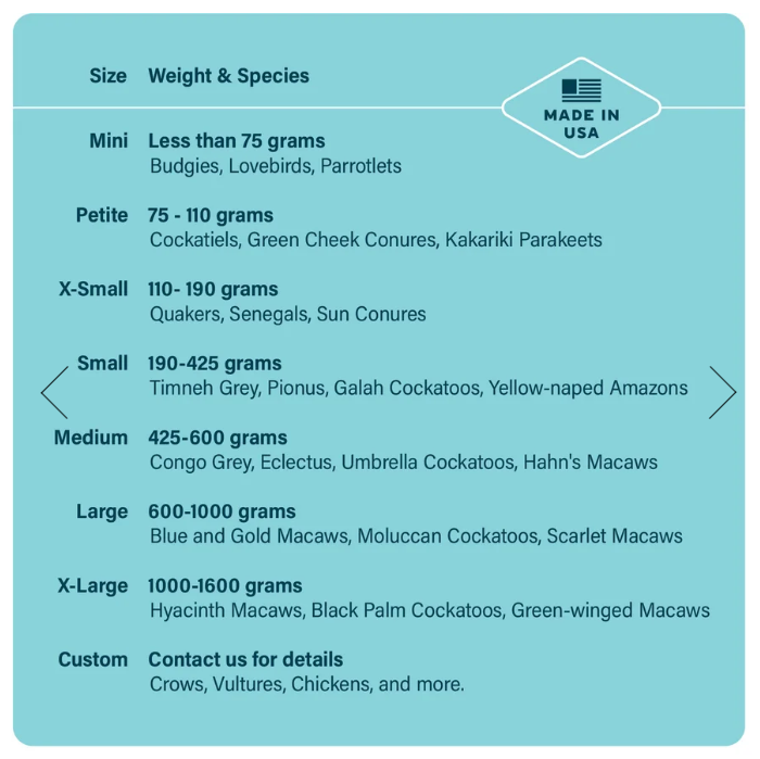 The Aviator Harness w/Leash